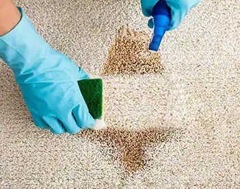 Curry Odor Removal 3 Odor removal and disinfection you can trust.