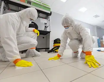 Disinfection Services 1 Odor removal and disinfection you can trust.