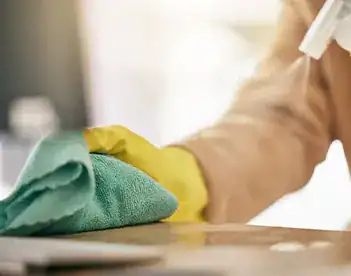 Germ Removal 1 1 Odor removal and disinfection you can trust.