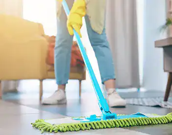 Germ Removal 3 1 Odor removal and disinfection you can trust.