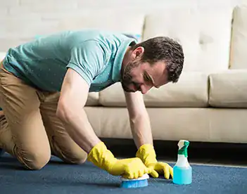 Odor Removal 1 1 Odor removal and disinfection you can trust.