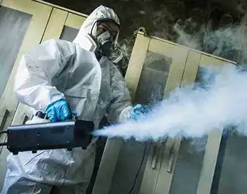Odor Removal Mesa AZ Odor removal and disinfection you can trust.