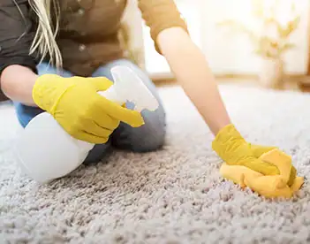 Odor Removal Odor removal and disinfection you can trust.