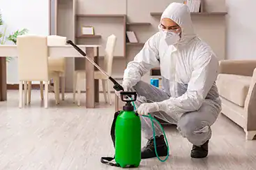 Seal and heat test Odor removal and disinfection you can trust.