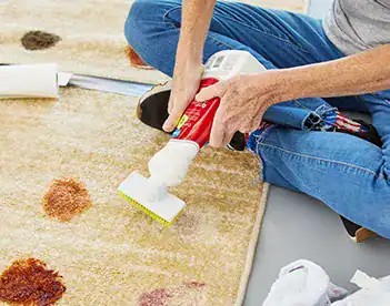 Smoke Odor Removal 6 Odor removal and disinfection you can trust.