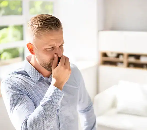 The Chemistry That Makes Spice Odor Outlast Almost Everything Else Odor removal and disinfection you can trust.