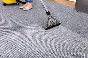 Treat it Odor removal and disinfection you can trust.