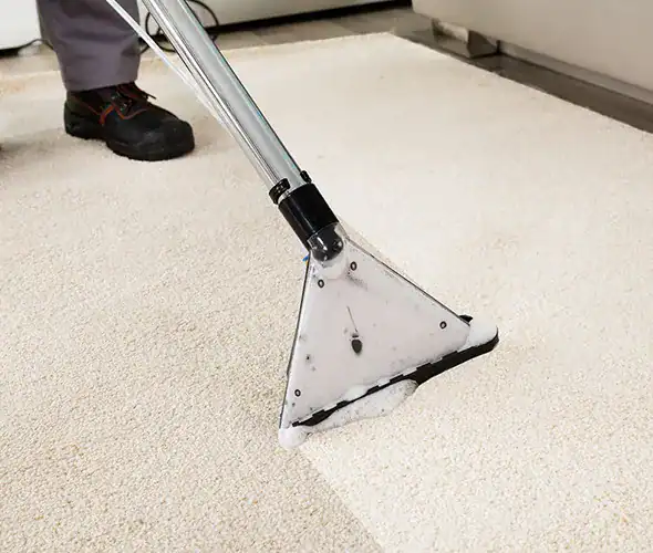 What a Musty or Unexplained Smell Is Actually Telling You Odor removal and disinfection you can trust.