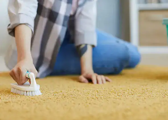 Why Does Pet Odor Come Back After the Carpets Are Cleaned Odor removal and disinfection you can trust.
